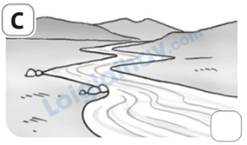 Đề thi giữa kì 2 Tiếng Anh 5 Family and Friends - Đề số 2 0 15