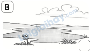 Đề thi giữa kì 2 Tiếng Anh 5 Family and Friends - Đề số 2 0 8