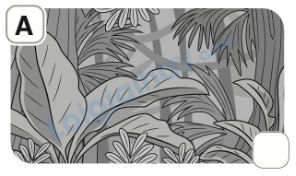 Đề thi giữa kì 2 Tiếng Anh 5 Family and Friends - Đề số 2 1 4