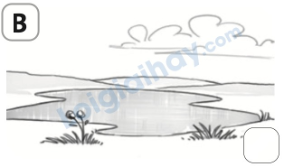 Đề thi giữa kì 2 Tiếng Anh 5 Family and Friends - Đề số 4 0 14