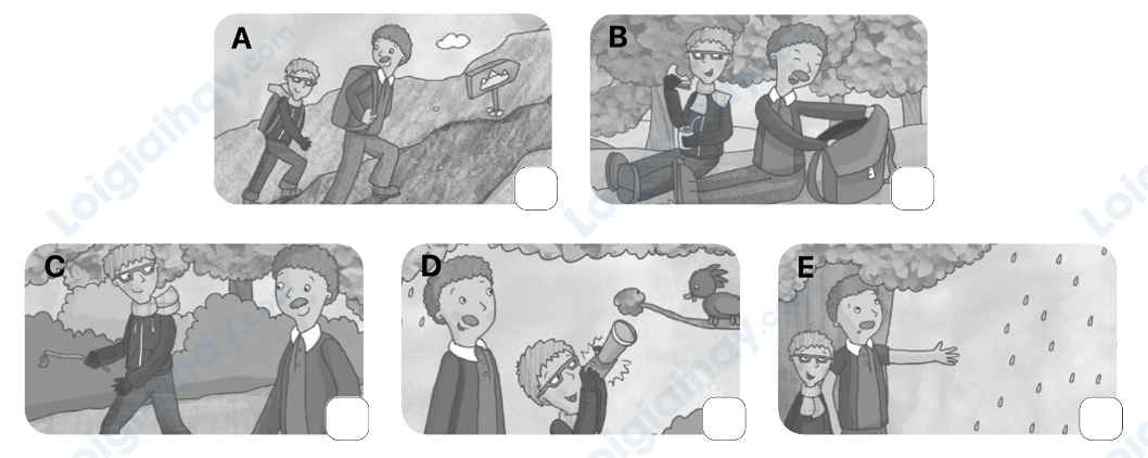 Đề thi giữa kì 2 Tiếng Anh 5 Family and Friends - Đề số 5 1 1