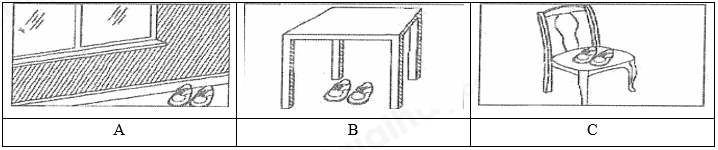 Đề thi giữa kì 2 Tiếng Anh 8 Global Success - Đề số 1 0 2