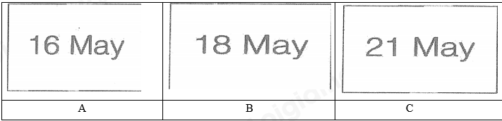 Đề thi giữa kì 2 Tiếng Anh 8 Global Success - Đề số 1 0 5