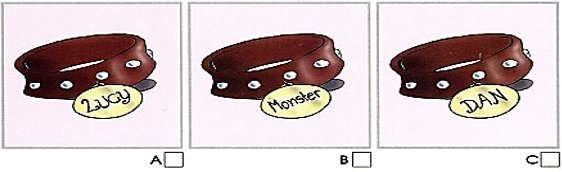 Đề thi giữa kì 2 Tiếng Anh 8 Global Success - Đề số 2 1 2