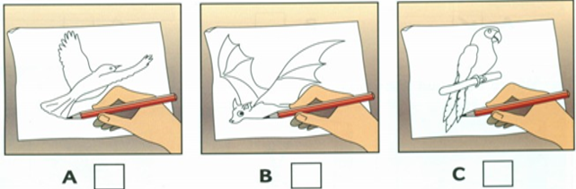 Đề thi giữa kì 2 Tiếng Anh 8 Global Success - Đề số 3 0 4