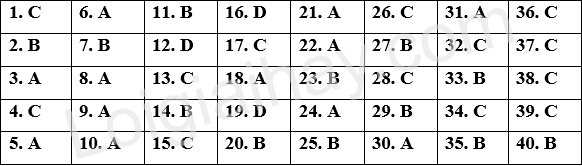Đề thi giữa kì 2 Tiếng Anh 9 iLearn Smart World - Đề số 3 1 1