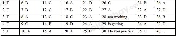 Đề thi học kì 1 Tiếng Anh 10 Bright - Đề số 8 1 1
