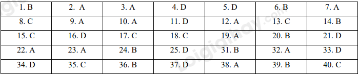 Đề thi học kì 1 Tiếng Anh 10 Friends Global - Đề số 2 1 1
