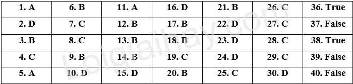 Đề thi học kì 1 Tiếng Anh 10 Global Success - Đề số 10 1 1