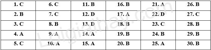 Đề thi học kì 1 Tiếng Anh 10 Global Success - Đề số 9 1 1