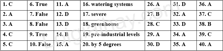 Đề thi học kì 1 Tiếng Anh 11 Global Success - Đề số 6 1 1