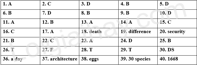 Đề thi học kì 1 Tiếng Anh 11 Global Success - Đề số 7 1 1