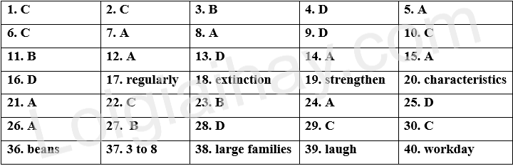 Đề thi học kì 1 Tiếng Anh 11 iLearn Smart World - Đề số 7 1 1