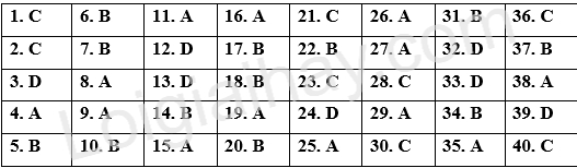 Đề thi học kì 1 Tiếng Anh 12 Bright - Đề số 3 1 1