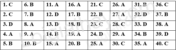 Đề thi học kì 1 Tiếng Anh 12 Global Success - Đề số 2 1 1