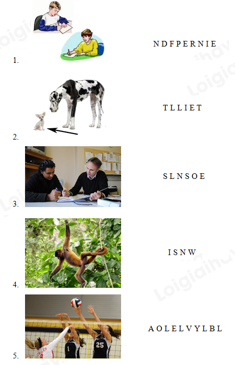 Đề thi học kì 1 Tiếng Anh 4 - Đề số 4 0 1