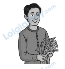 Đề thi học kì 1 Tiếng Anh 4 Family and Friends - Đề số 1 0 16