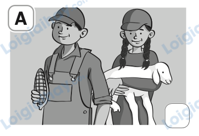 Đề thi học kì 1 Tiếng Anh 4 Family and Friends - Đề số 1 0 10