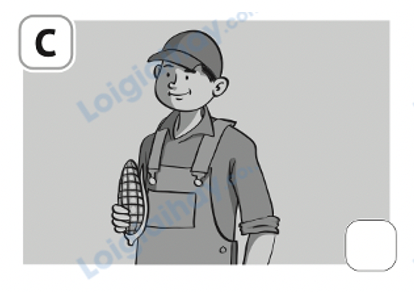 Đề thi học kì 1 Tiếng Anh 4 Family and Friends - Đề số 1 1 3