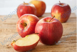 Đề thi học kì 1 Tiếng Anh 4 Family and Friends - Đề số 2 0 2