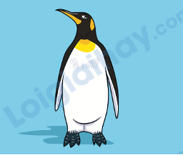 Đề thi học kì 1 Tiếng Anh 4 Family and Friends - Đề số 2 0 13