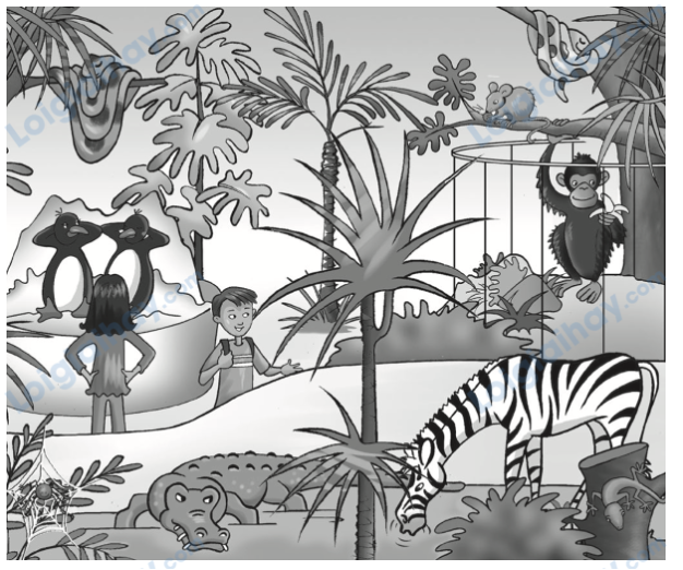 Đề thi học kì 1 Tiếng Anh 4 Family and Friends - Đề số 2 1 14