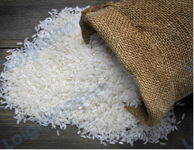 Đề thi học kì 1 Tiếng Anh 4 Family and Friends - Đề số 2 1 8