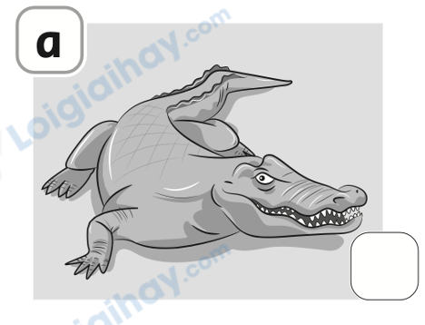 Đề thi học kì 1 Tiếng Anh 4 Family and Friends - Đề số 3 0 13