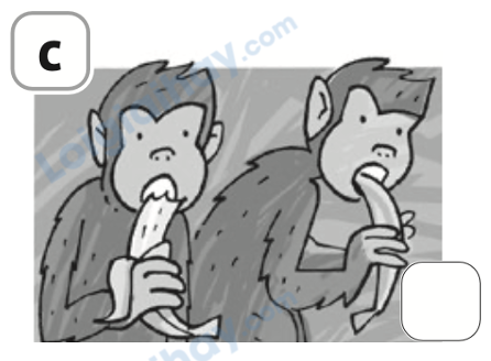 Đề thi học kì 1 Tiếng Anh 4 Family and Friends - Đề số 3 0 6