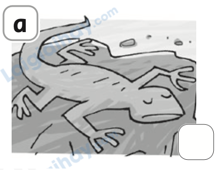 Đề thi học kì 1 Tiếng Anh 4 Family and Friends - Đề số 3 0 7