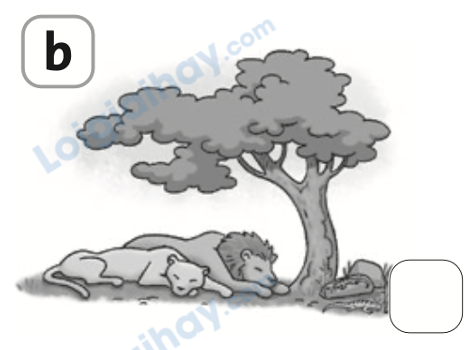 Đề thi học kì 1 Tiếng Anh 4 Family and Friends - Đề số 3 0 8