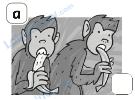 Đề thi học kì 1 Tiếng Anh 4 Family and Friends - Đề số 3 0 10