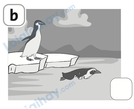 Đề thi học kì 1 Tiếng Anh 4 Family and Friends - Đề số 3 1 2