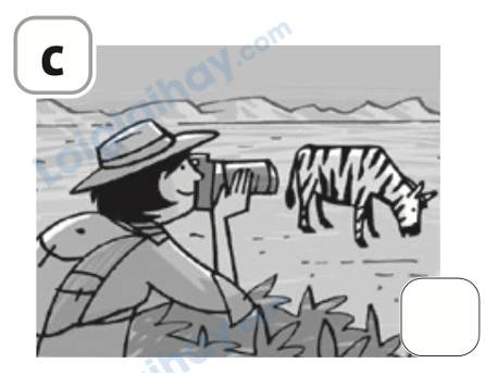 Đề thi học kì 1 Tiếng Anh 4 Family and Friends - Đề số 3 1 12