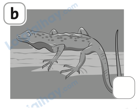 Đề thi học kì 1 Tiếng Anh 4 Family and Friends - Đề số 3 1 14