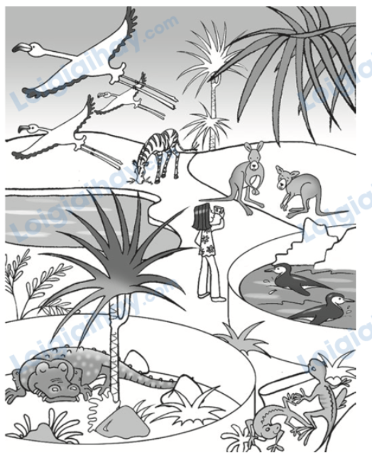 Đề thi học kì 1 Tiếng Anh 4 Family and Friends - Đề số 5 1 7