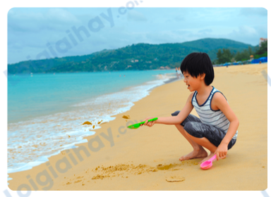 Đề thi học kì 1 Tiếng Anh 4 Global Success - Đề số 1 0 6