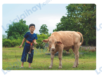 Đề thi học kì 1 Tiếng Anh 4 Global Success - Đề số 1 1 5