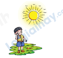 Đề thi học kì 1 Tiếng Anh 4 iLearn Smart Start - Đề số 2 0 5