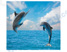 Đề thi học kì 1 Tiếng Anh 4 iLearn Smart Start - Đề số 2 1 3