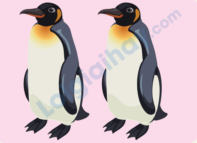 Đề thi học kì 1 Tiếng Anh 4 iLearn Smart Start - Đề số 3 0 4