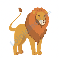 Đề thi học kì 1 Tiếng Anh 4 iLearn Smart Start - Đề số 4 0 10