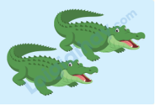 Đề thi học kì 1 Tiếng Anh 4 iLearn Smart Start - Đề số 5 1 2