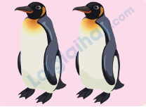 Đề thi học kì 1 Tiếng Anh 4 iLearn Smart Start - Đề số 5 1 9