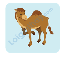 Đề thi học kì 1 Tiếng Anh 4 iLearn Smart Start - Đề số 8 0 2