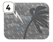 Đề thi học kì 1 Tiếng Anh 5 Family and Friends - Đề số 3 1 4