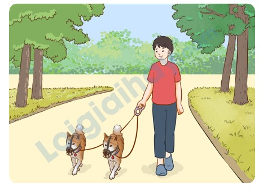 Đề thi học kì 1 Tiếng Anh 5 Global Success - Đề số 1 1 7