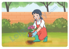 Đề thi học kì 1 Tiếng Anh 5 Global Success - Đề số 1 1 9