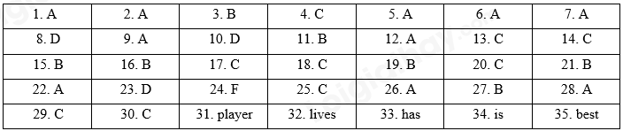 Đề thi học kì 1 Tiếng Anh 6 Global Success - Đề số 1 1 1