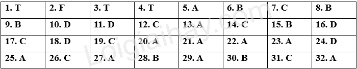 Đề thi học kì 1 Tiếng Anh 6 Global Success - Đề số 10 1 1